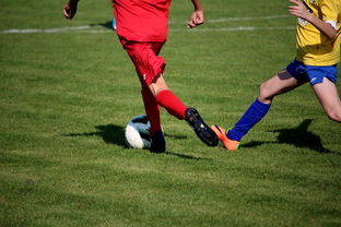 KAIYUNAPP-国家队与俱乐部之间协调机制为何不顺畅，国家队比赛和俱乐部比赛冲突